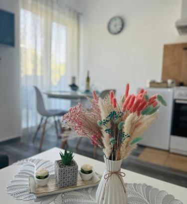 Mrcevac Apartamento | Apartments Tijana