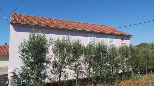 Susica Apartamento | Apartments Tomas