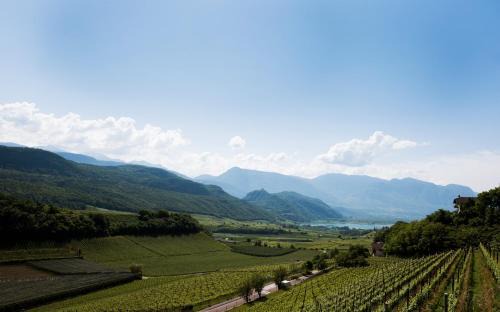 Caldaro Sulla Strada del Vino Apartamento | Apartments Windegg