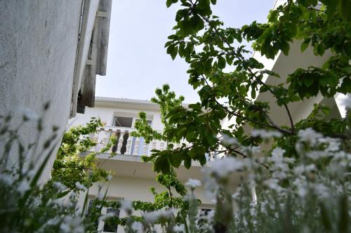 Muc Apartamento | Apartments with a swimming pool Gizdavac, Zagora - 12053