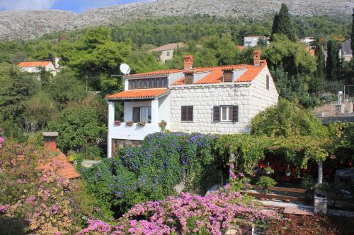 Gornji Kono Apartamento | Apartments with WiFi Dubrovnik - 8581