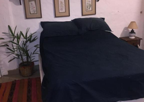 Tigre Apartamento | Aparts del Jardin