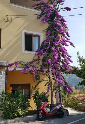 Volosko Apartamento | Apatmani Milena