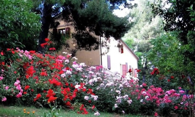 Monte San Vito Otro | APP. in the MARCHIGIAN COUNTRY, Familiar
