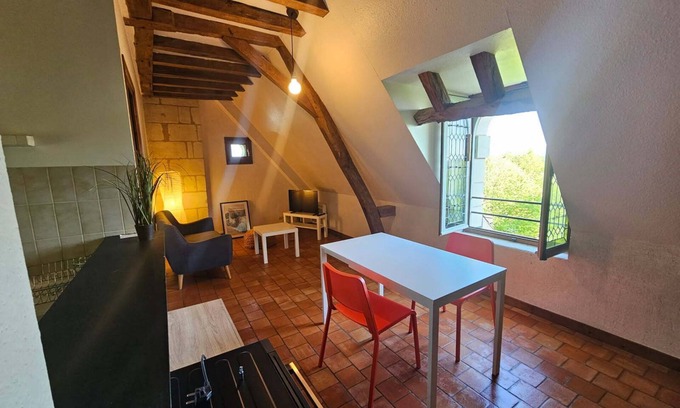 Saumur Apartamento | Apparently historic in the center of Saumur