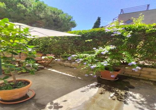 Punta Ala Apartamento | Appartamenti Boboli