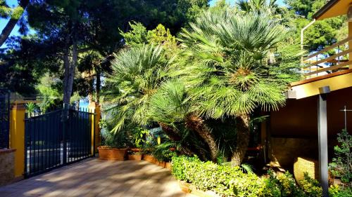 Scopello Apartamento | Appartamenti Cala Azzurra