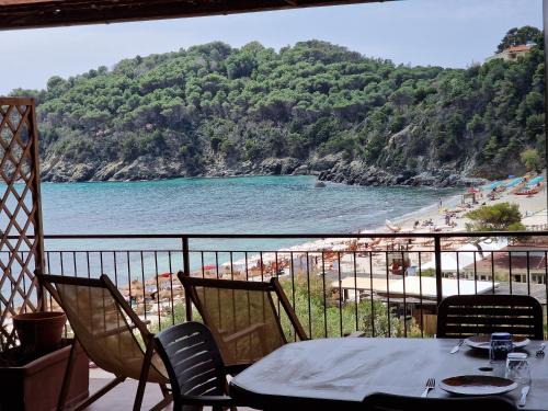 Fetovaia Apartamento | Appartamenti Fetovaia Orchidea