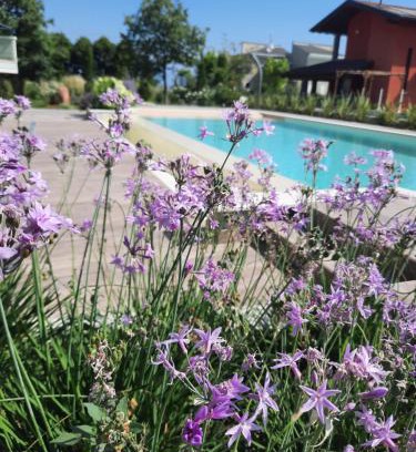 San Benedetto di Lugana Apartamento | Appartamenti Villa Gloria