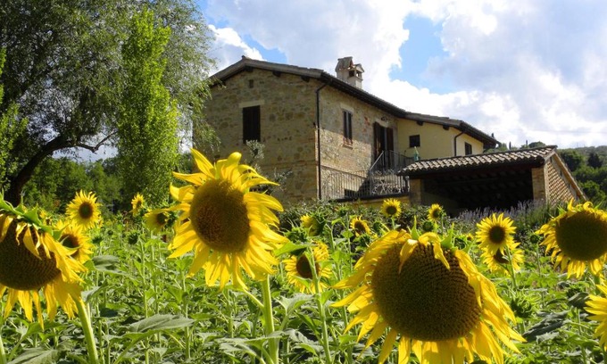Guzman Apartamento | Appartamenti Verde Collina Umbra