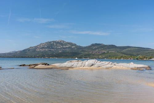Porto Rotondo Apartamento | Appartamento E17