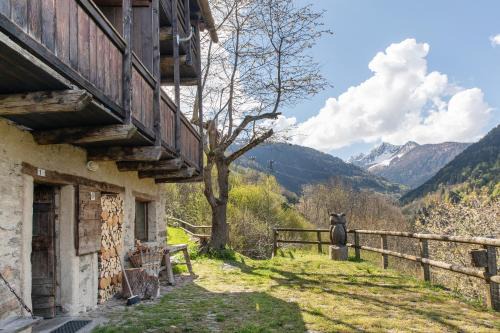 Tartano Apartamento | Appartamento Furfulera