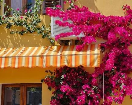 Monsummano Terme Apartamento | Appartamento in the Heart of Tuscany