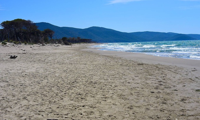 Principina a Mare Apartamento | Appartamento Delfino