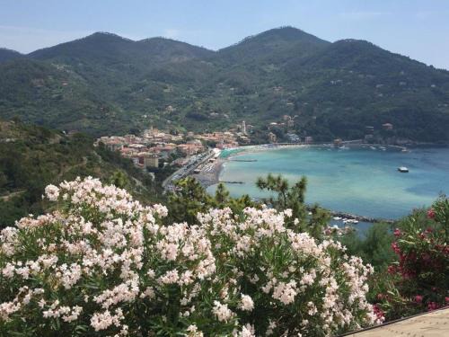 Valle Santa Apartamento | Appartamento Romeo