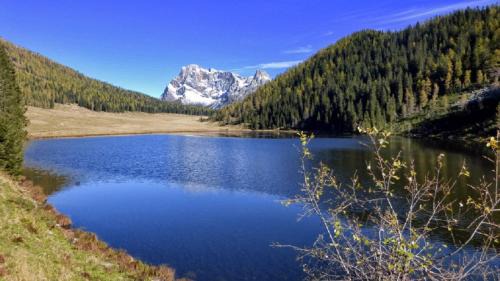 Prade Apartamento | Appartamento Vanoi nel cuore verde del Trentino