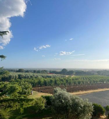 Castagneto Carducci Apartamento | Appartamento Villa Caprareccia