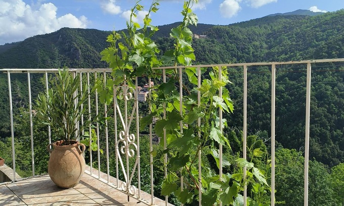 Sant'Andrea-di-Bozio Apartamento | Appartement 35m² Avec Balcon vu sur la Nature !
