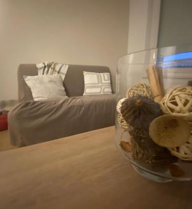 Varennes-Saint-Sauveur Apartamento | Appartement chaleureux au cœur de la Bresse