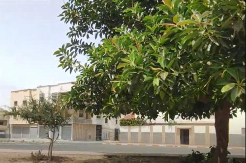 Les Amicales Apartamento | Appartement Anouar Souss