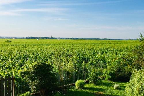 Gevrey-Chambertin Apartamento | Appartement avec vue sur les vignes à Gevrey