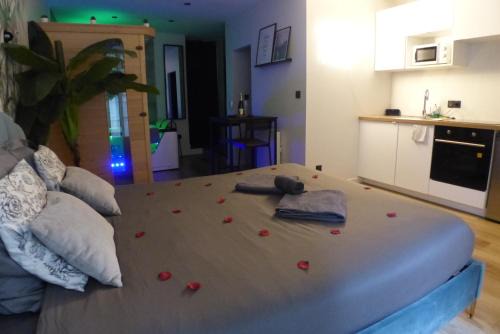 Richebourg - Saint-Clement Apartamento | Appartement balnéothérapie et sauna hyper centre