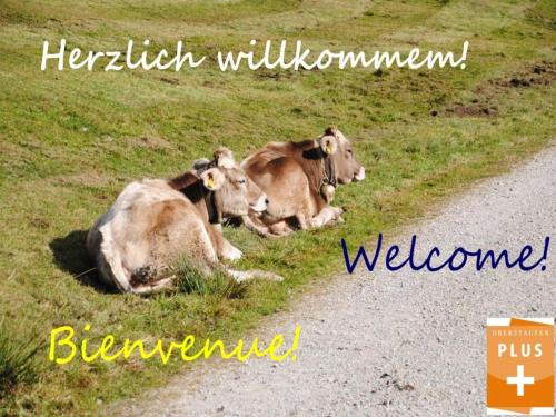 Steibis Apartamento | Appartement Bergfrieden