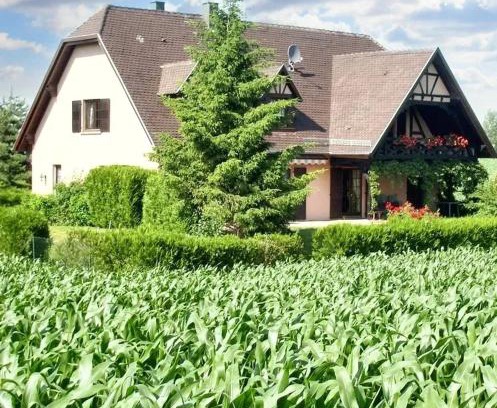 Hochfelden Apartamento | Appartement charmant à Hochfelden - 100 m² et parking gratuit