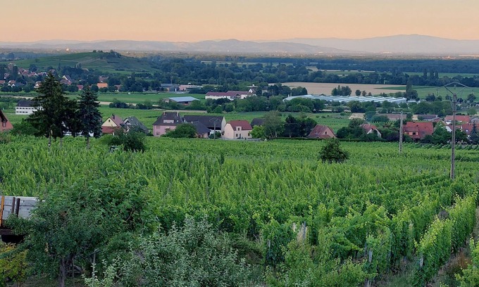 Gueberschwihr Apartamento | Appartement