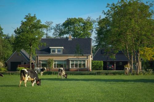 Hornsterzwaag Cama Y Desayuno | Appartement Hoornsterzwaag, landelijk gelegen