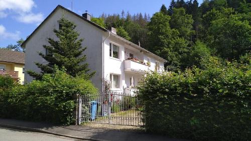 Bad Sachsa Apartamento | Appartement In Steina Mit Terrasse