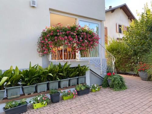 Lingolsheim Apartamento | Appartement Le Jardin