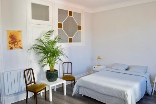 Thermal Apartamento | Appartement LUXE et PRESTIGE proche Thermes, Parcs, Opéra