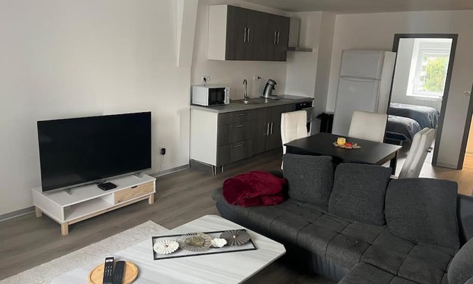 Audincourt Apartamento | Appartement Moderne 68 m2 2 ch proche centre ville