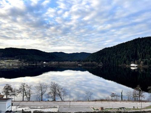 Gerardmer Apartamento | Appartement Neuf VUE LAC 6/8pers