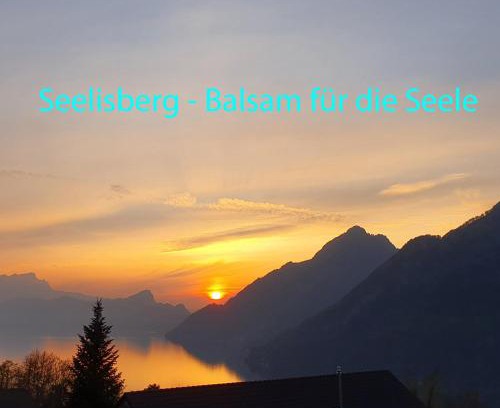 Ruetli Apartamento | Appartement Seelewärmerli - Balsam für Ihre Seele