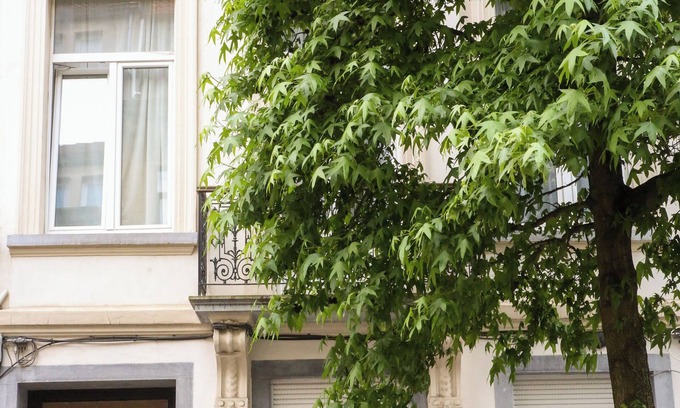 Brabantwijk Apartamento | Appartement Spacieux et Complètement Rénové