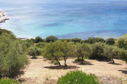 Patrimonio Apartamento | Appartement sur la Baie de saint Florent