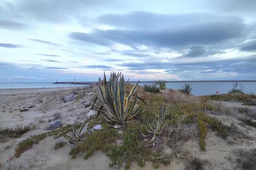Leucate Apartamento | Appartement T2 dans village Naturiste en bord de mer