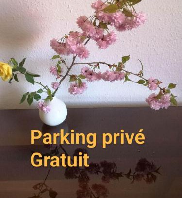 Esplanade Apartamento | Appartement Zen Strasbourg center avec parking