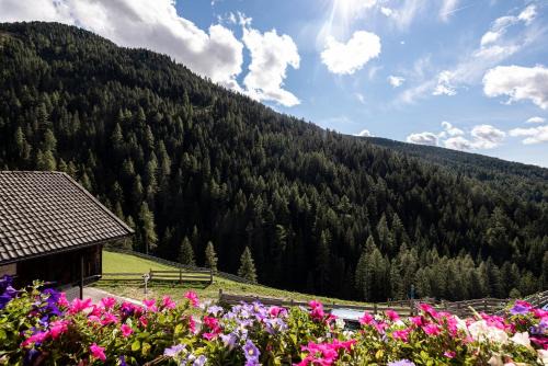 Sarentino Apartamento | Apt Talblick Hinterproslhof
