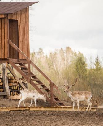 Kurkliai Casa | Arčiau gamtos Anykščiai