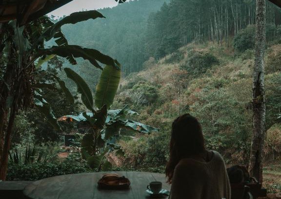 Ella Cabina | Arawe Retreat