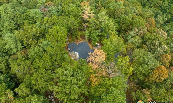 Mount Jackson Cabaña | Arcadian's Cottage | Woodland home w/ custom firepit