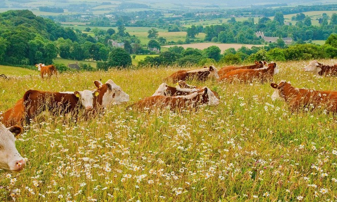 Whittington Cabina | Architectural gem on an acclaimed cotswold farm /1
