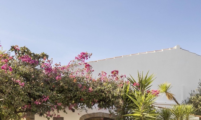 Santo Estevao Casa | Joya arquitectónica en el campo del Algarve!