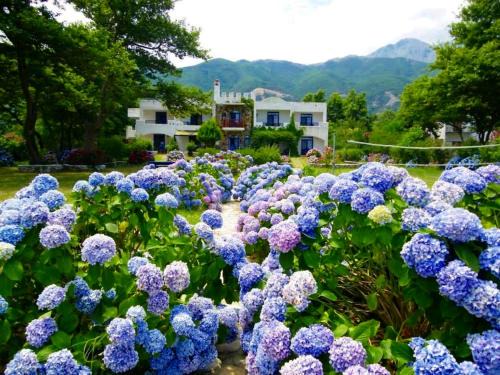 Samothrace Apartamento | Archondissa Beach Aparthotel