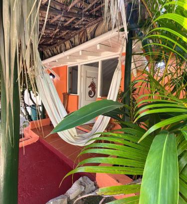 Las Galeras Hotel | Arena Oceanview Hotel & La Terraza Restaurant