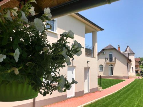 Vrdnik Apartamento | Aria apartman