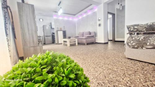 Eforie Nord Apartamento | Ariana Luxury Apartament - Eforie Nord